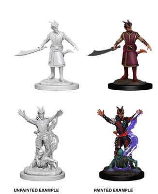 D&D - Nolzur's Marvelous Miniatures: Male Tiefling Warlock
