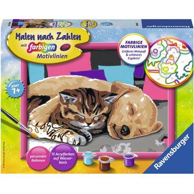 Malen nach Zahlen - Süße Schlafmützen