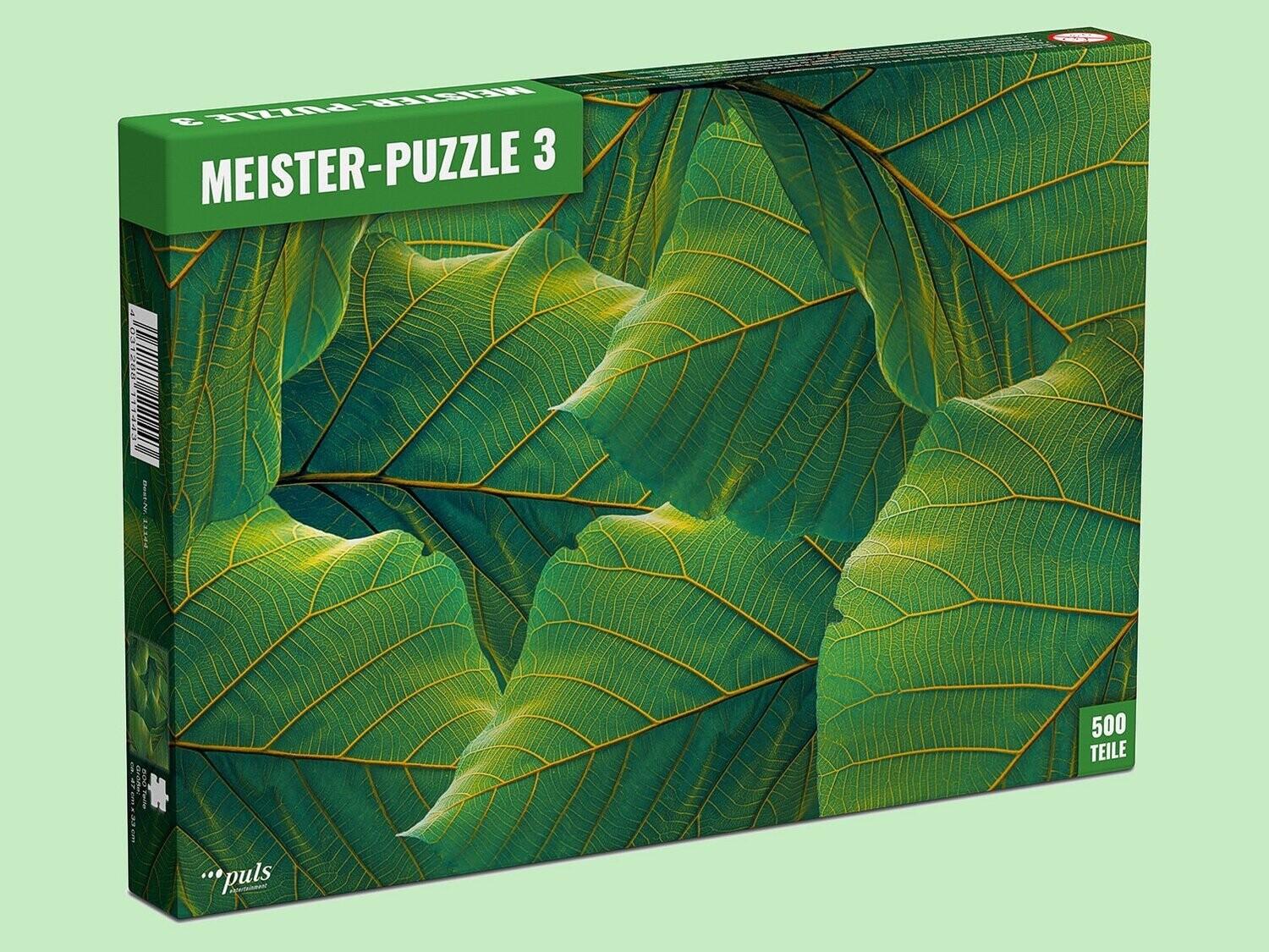 Meister-Puzzle 3