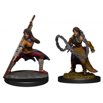 D&D - Nolzur's Marvelous Miniatures: Human Monk