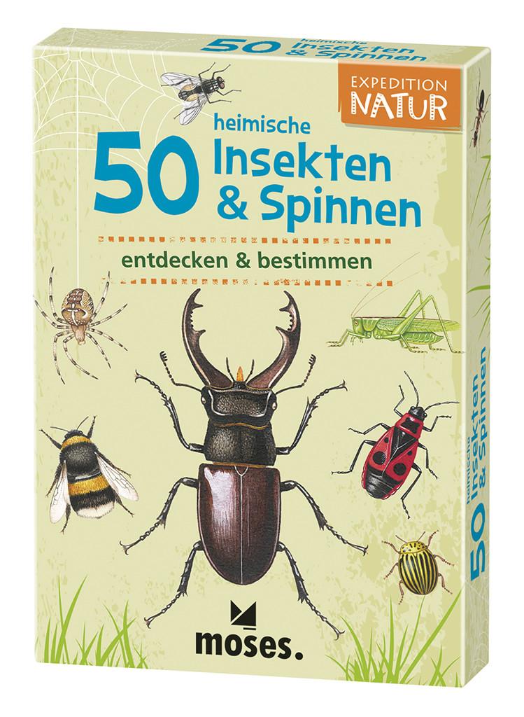 50 heimische Insekten & Spinnen entdecken & bestimmen