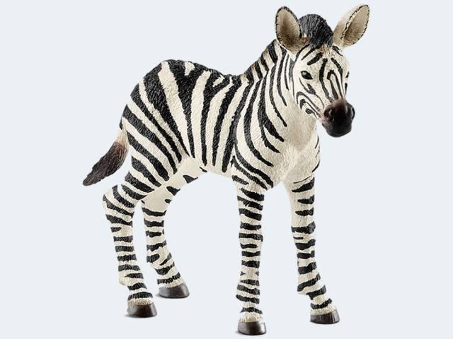 Schleich Wild Life 14811 - Zebra Fohlen