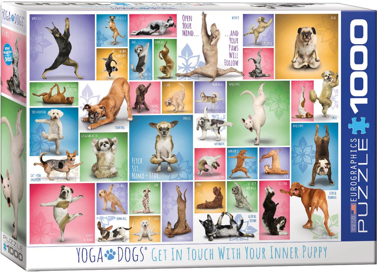 Eurographics Puzzle - 1000 Teile - Yoga Dogs
