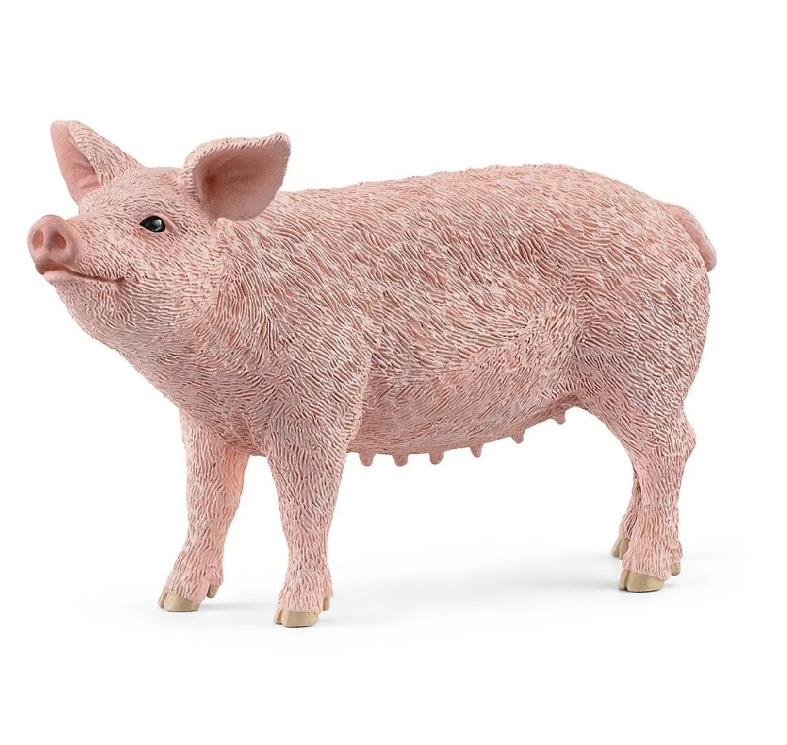 Schleich 13933 - Farm World: Schwein