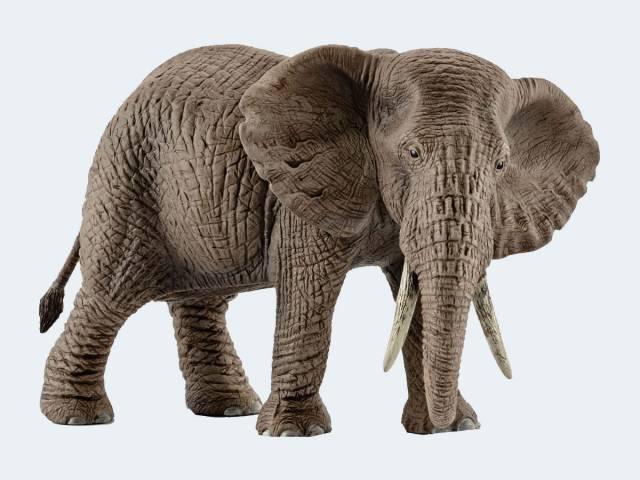 Schleich Wild Life 14761 - Afrikanische Elefantenkuh