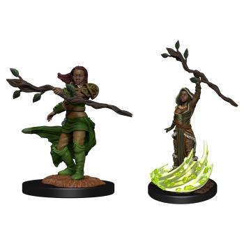 D&D - Nolzur's Marvelous Miniatures: Female Human Druid