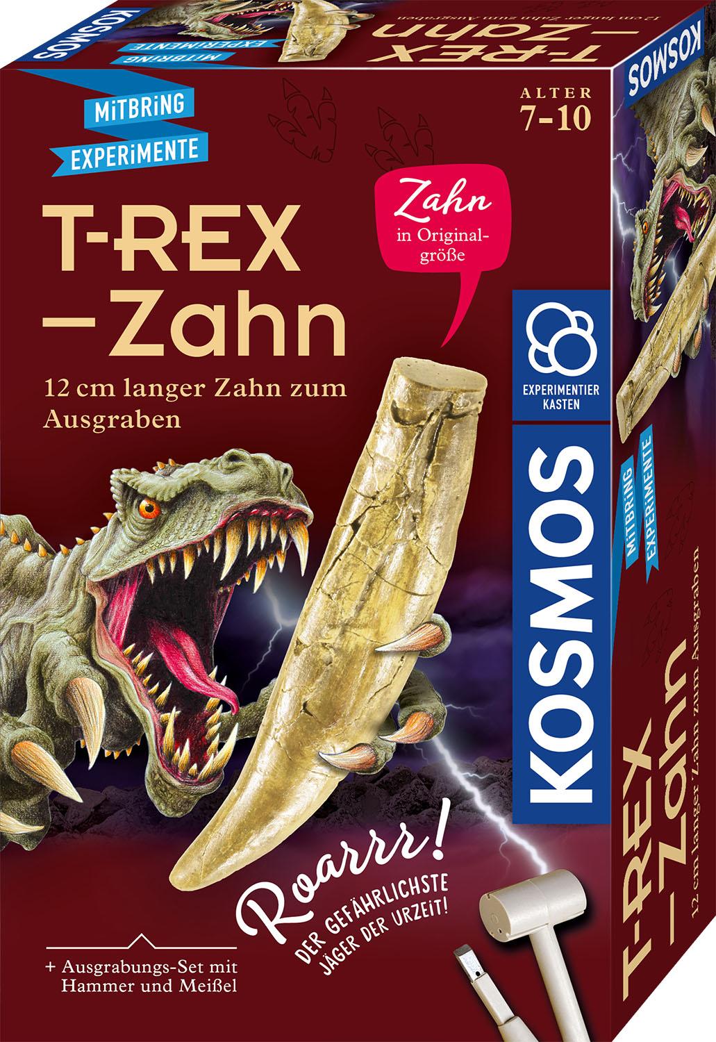 Mitbring Experimente - T-Rex-Zahn