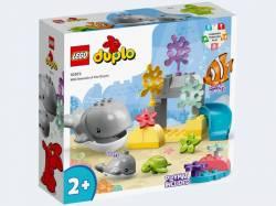 LEGO Duplo 10972 - Wilde Tiere des Ozeans