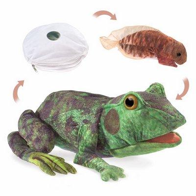 Folkmanis Handpuppe - Metamorphose Frosch